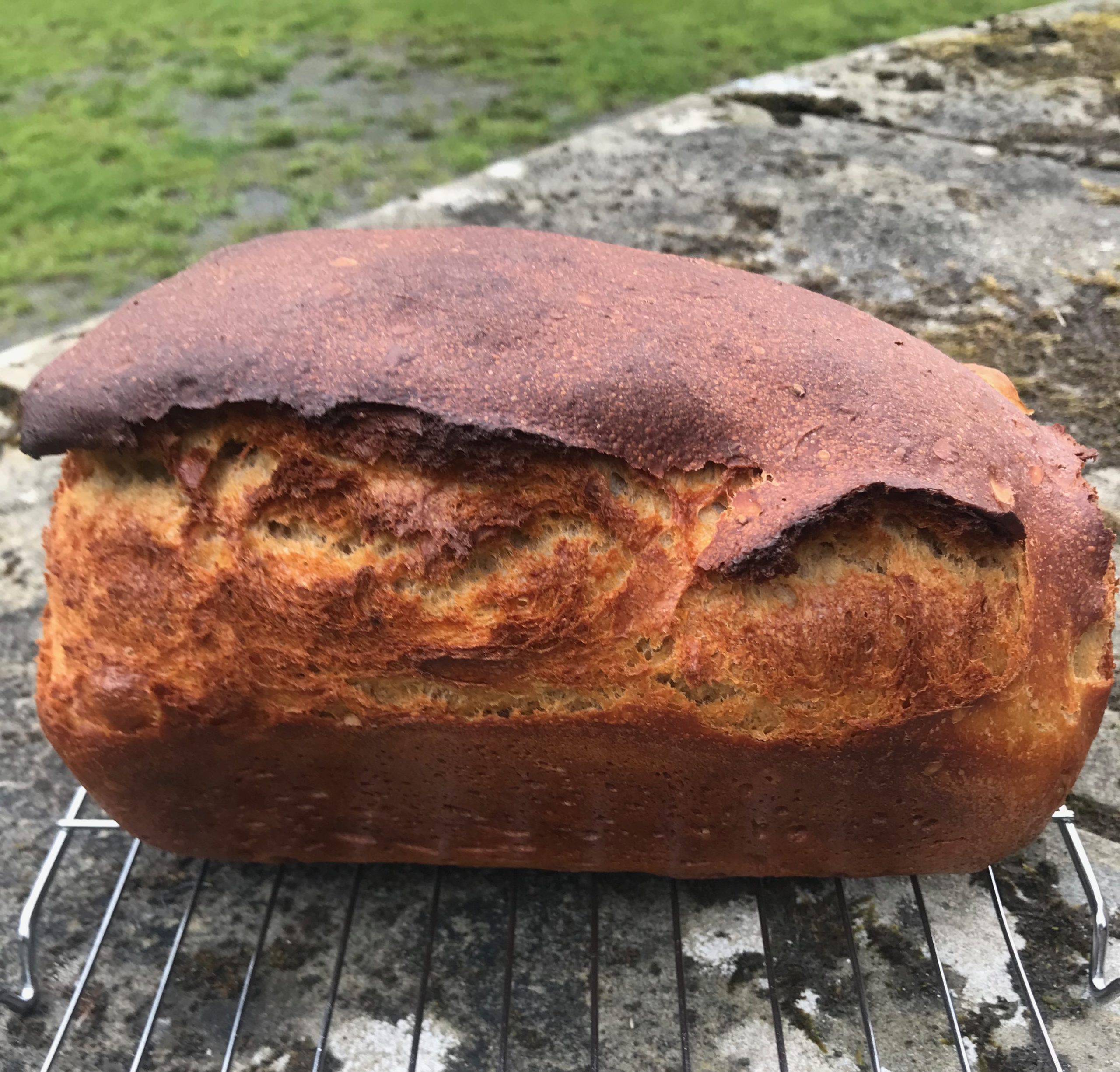 Marmite Bread The Ordinary Cook